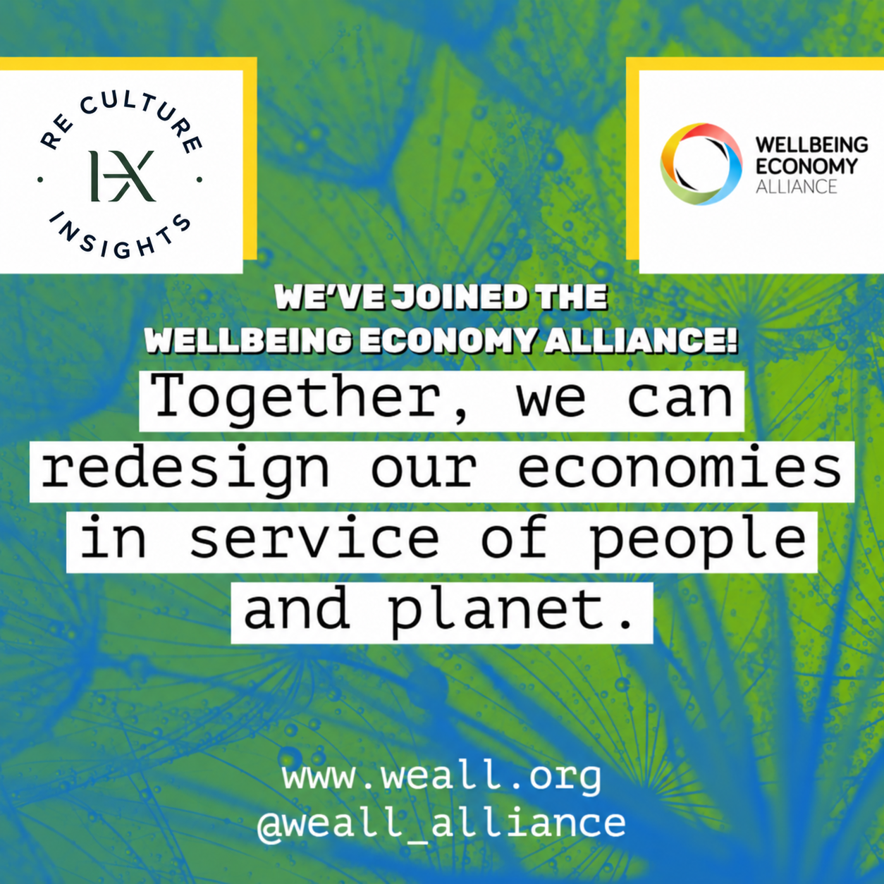 Official Re Culture™ organizational membership visual for the Wellbeing Economy Alliance